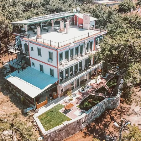 Camlik Deniz Yildizi