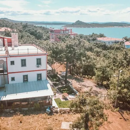 Camlik Deniz Yildizi