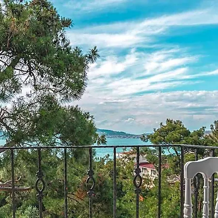 Camlik Deniz Yildizi
