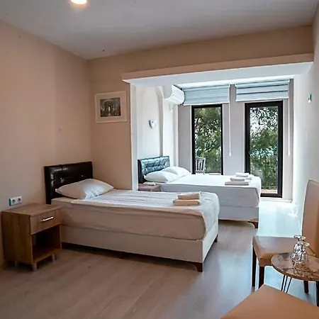 Camlik Deniz Yildizi Ayvalı