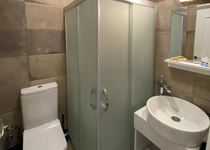 Camlik Deniz Yildizi *